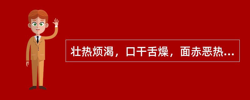 壮热烦渴，口干舌燥，面赤恶热，大汗，脉洪大有力。治当首选（）。