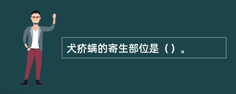 犬疥螨的寄生部位是（）。