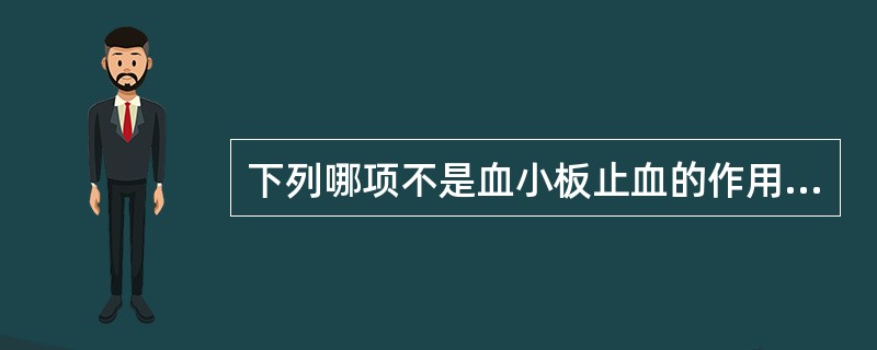 下列哪项不是血小板止血的作用机制()