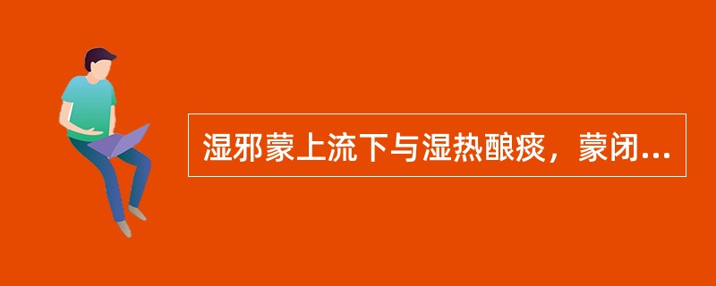 湿邪蒙上流下与湿热酿痰，蒙闭心包的临床表现和治疗方法有什么不同？