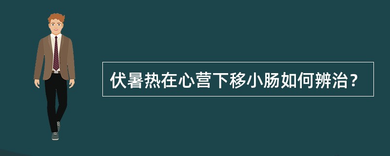 伏暑热在心营下移小肠如何辨治？