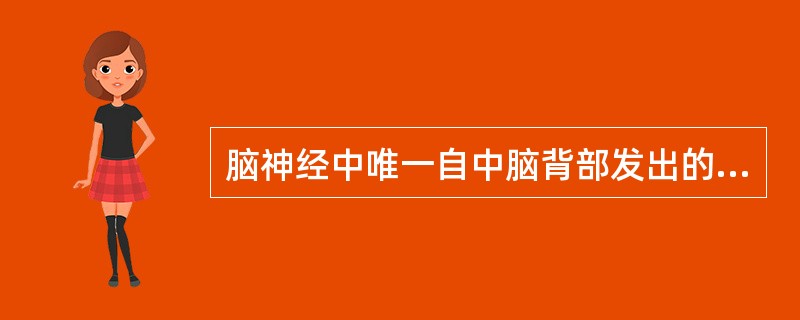 脑神经中唯一自中脑背部发出的是（）。