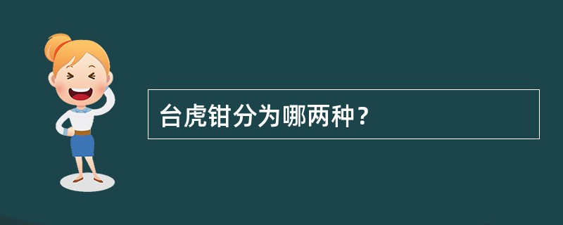 台虎钳分为哪两种？