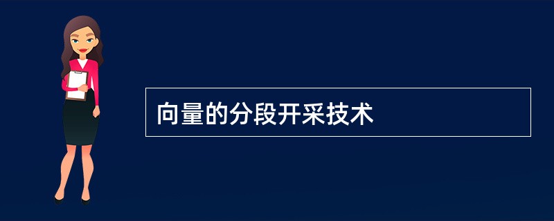 向量的分段开采技术