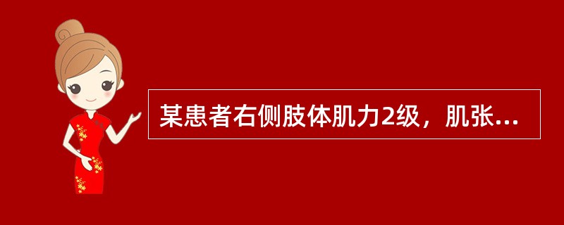 某患者右侧肢体肌力2级，肌张力增高、腱反射活跃，病理反射阳性，病变在：（）