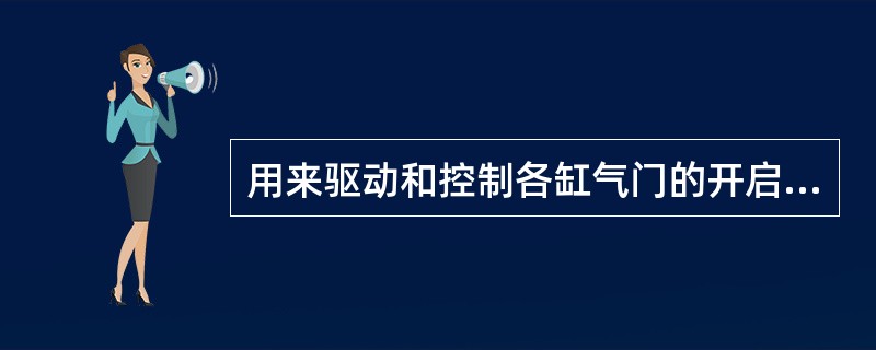 用来驱动和控制各缸气门的开启和关闭的零件是（）。