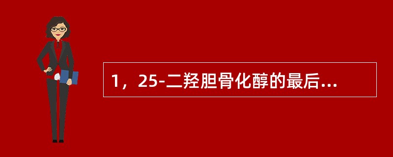 1，25-二羟胆骨化醇的最后合成部位是（）