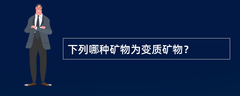下列哪种矿物为变质矿物？