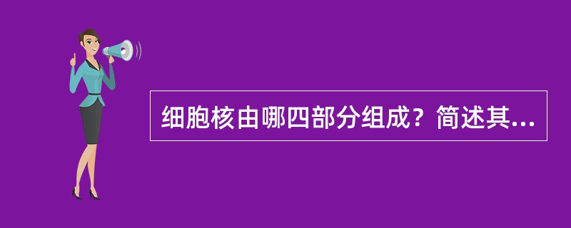 细胞核由哪四部分组成？简述其结构？