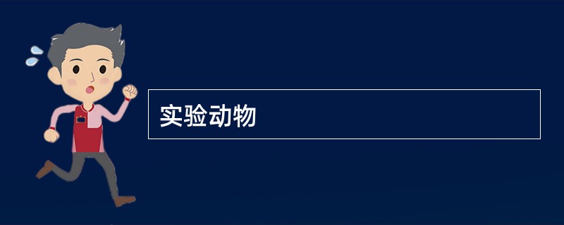 实验动物