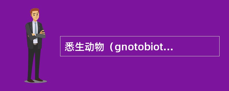 悉生动物（gnotobiotic animal，GN）