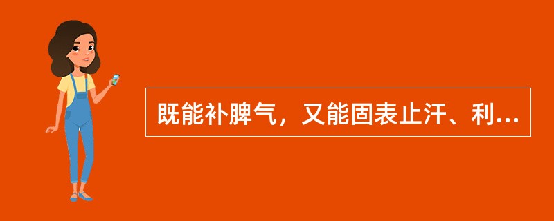 既能补脾气，又能固表止汗、利水消肿的药物组是（）