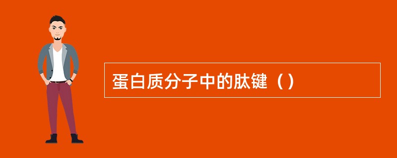 蛋白质分子中的肽键（）