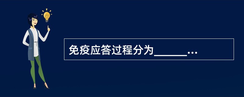 免疫应答过程分为_____________、_____________、____