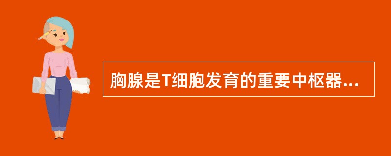 胸腺是T细胞发育的重要中枢器官，胸腺由_____________、_______