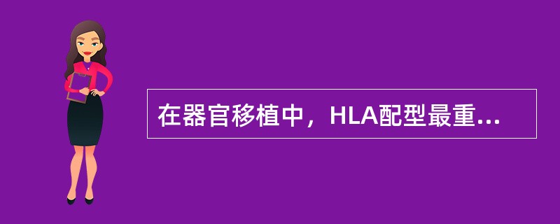 在器官移植中，HLA配型最重要的是（）