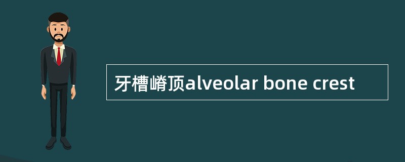 牙槽嵴顶alveolar bone crest