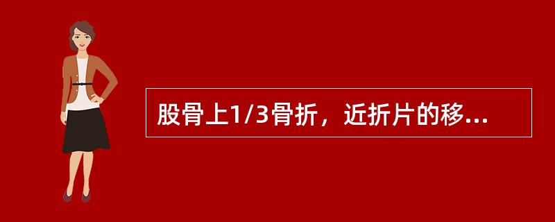 股骨上1/3骨折，近折片的移位方向是（）.