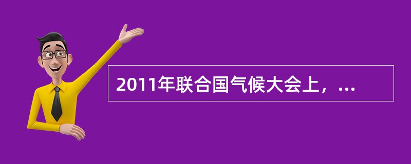 2011年联合国气候大会上，巴西、印度、南非和中国组成的“基础四国”坚持“共同但