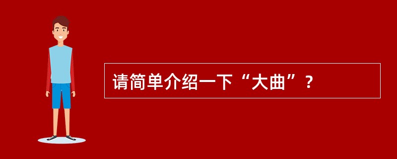 请简单介绍一下“大曲”？