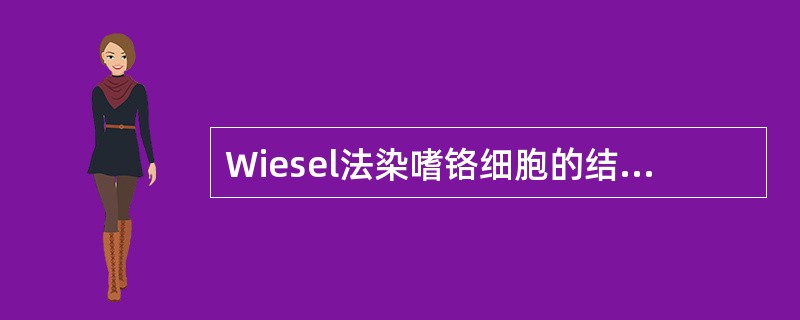 Wiesel法染嗜铬细胞的结果是（）。