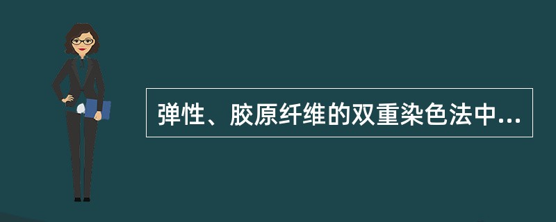 弹性、胶原纤维的双重染色法中，弹力纤维和胶原各呈什么颜色（）。