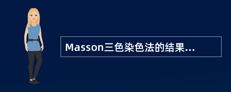 Masson三色染色法的结果正确的是（）。