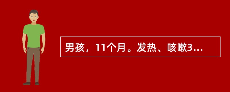 男孩，11个月。发热、咳嗽3天。患儿3天前无明显诱因出现发热，体温波动在38.1