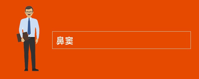 鼻窦