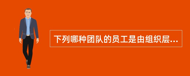 下列哪种团队的员工是由组织层级相似的但来自不同工作领域的员工组成。（）