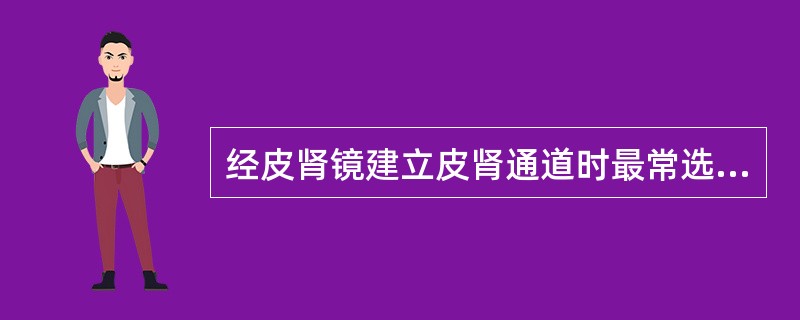 经皮肾镜建立皮肾通道时最常选择的穿刺部位是（）.