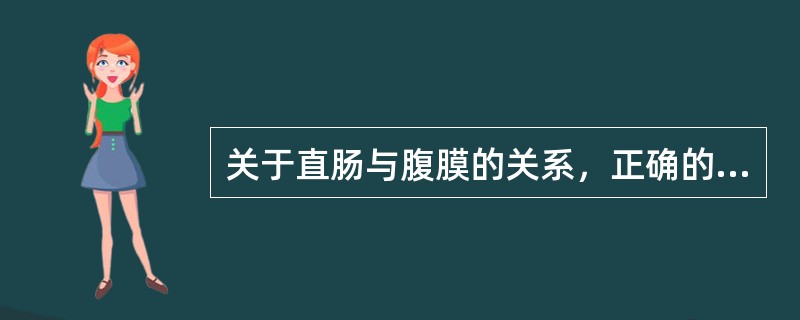 关于直肠与腹膜的关系，正确的是（）。