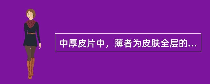 中厚皮片中，薄者为皮肤全层的（），厚者为皮肤全层的（）