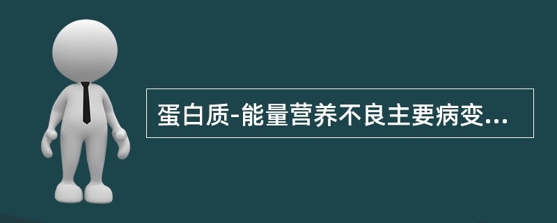 蛋白质-能量营养不良主要病变部位是(). 蛋白质-能量营养不良主要病变部位是().