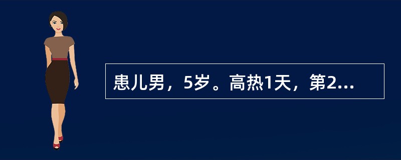 患儿男，5岁。高热1天，第2天出疹，全身皮肤弥漫性充血发红，可见密集、均匀的红色