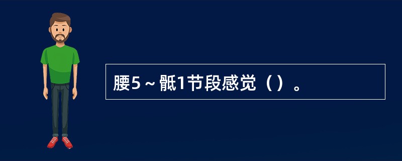 腰5～骶1节段感觉（）。