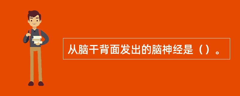 从脑干背面发出的脑神经是（）。