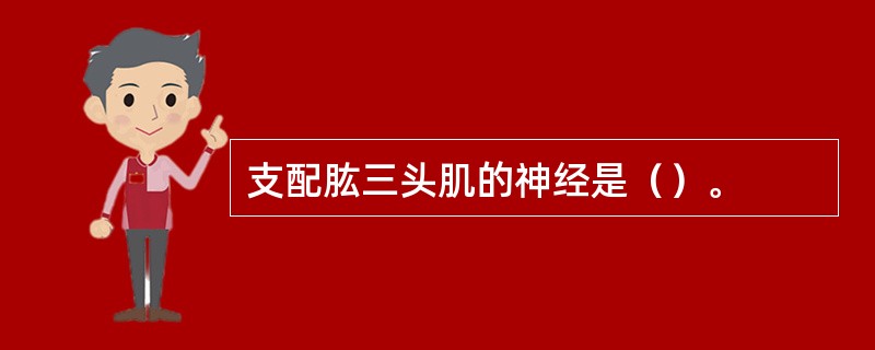 支配肱三头肌的神经是（）。