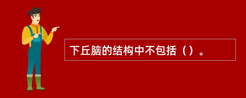 下丘脑的结构中不包括（）。