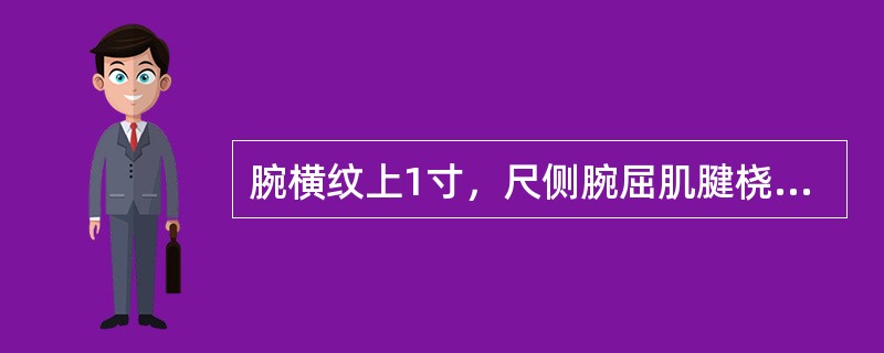 腕横纹上1寸，尺侧腕屈肌腱桡侧缘的腧穴是（）