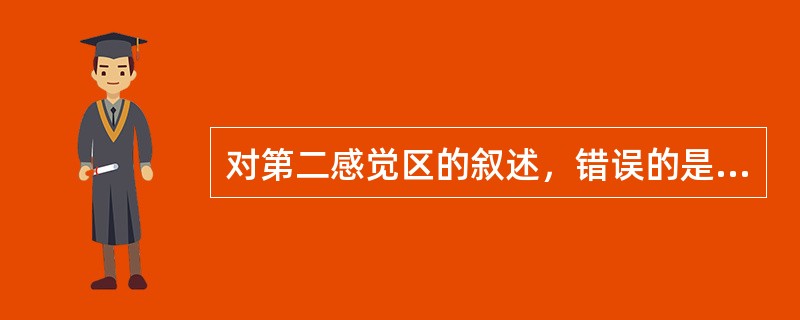 对第二感觉区的叙述，错误的是（）。