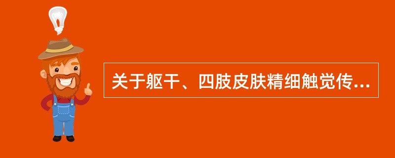 关于躯干、四肢皮肤精细触觉传导通路，不正确的叙述是（）。