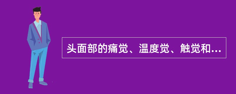 头面部的痛觉、温度觉、触觉和压觉传导通路的第三级神经元为（）。