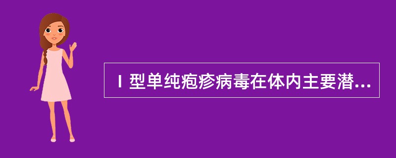 Ⅰ型单纯疱疹病毒在体内主要潜伏于（）。