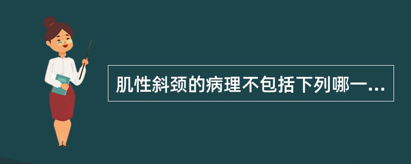 肌性斜颈的病理不包括下列哪一项（）