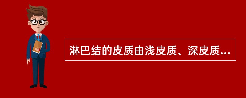 淋巴结的皮质由浅皮质、深皮质、（）组成。