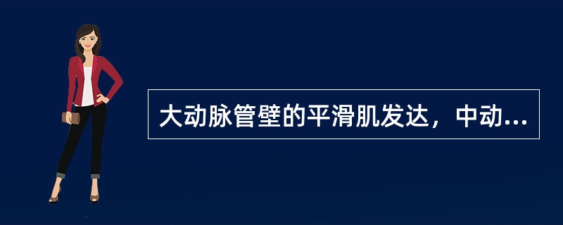 大动脉管壁的平滑肌发达，中动脉管壁的弹性纤维发达。