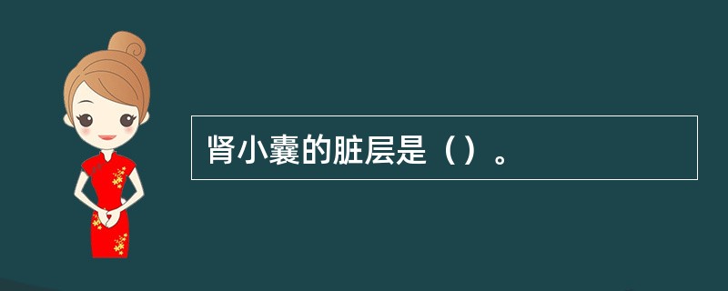 肾小囊的脏层是（）。
