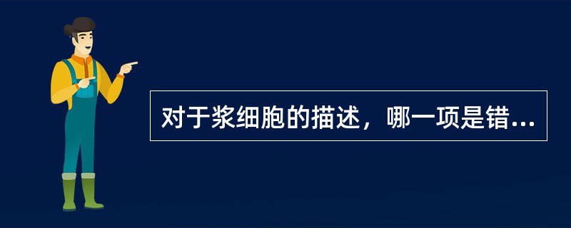 对于浆细胞的描述，哪一项是错误的？（）