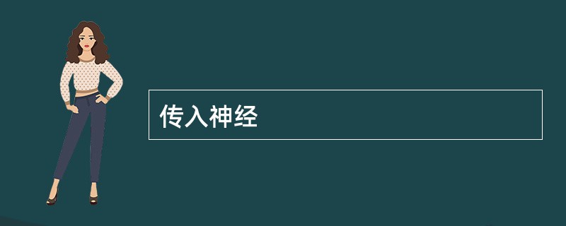 传入神经